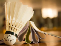 布伦特福德VS富勒姆赛事前瞻英超比赛前瞻：伯恩茅斯vs富勒姆预测分析(2025年10月04日)