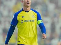 上海玄鸟VS香港金牛比赛直播分析香港vs江苏前瞻：主场龙pk客场虫，金牛三外援欲再次耀武扬威